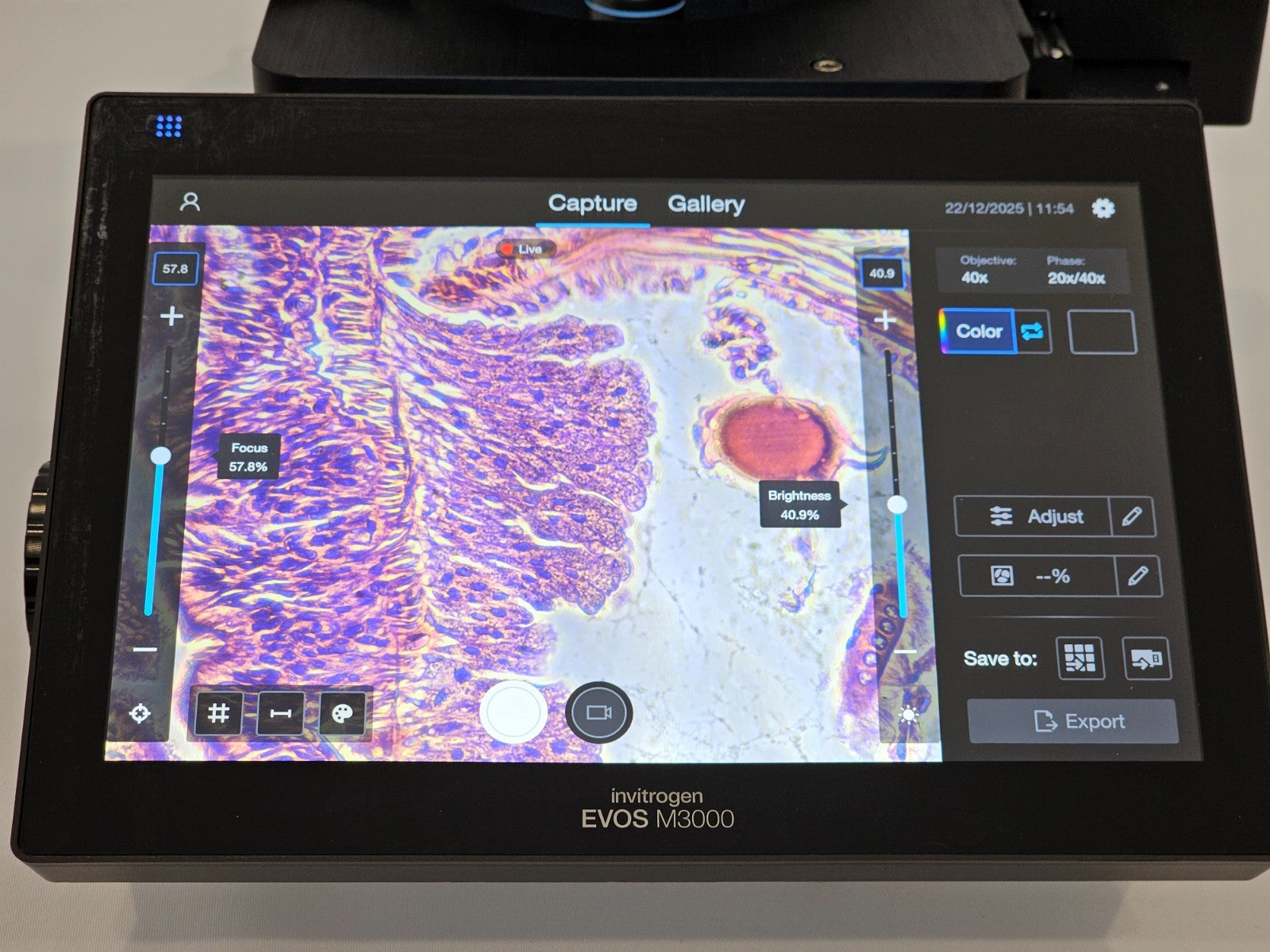 Thermo Fisher Scientific Invitrogen EVOS M3000 Inverted Microscope AMF3000 2025