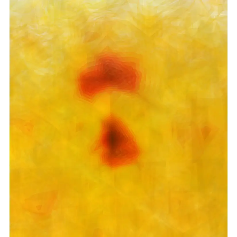 Magritek Terranova 16x16x16 3D MRI phantom scan slice view showing internal structure detail