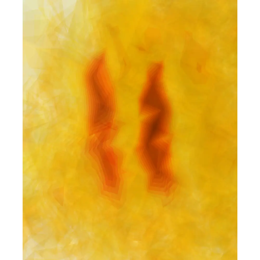 Magritek Terranova EFNMR MRI scan result of kiwi fruit cross-section sample