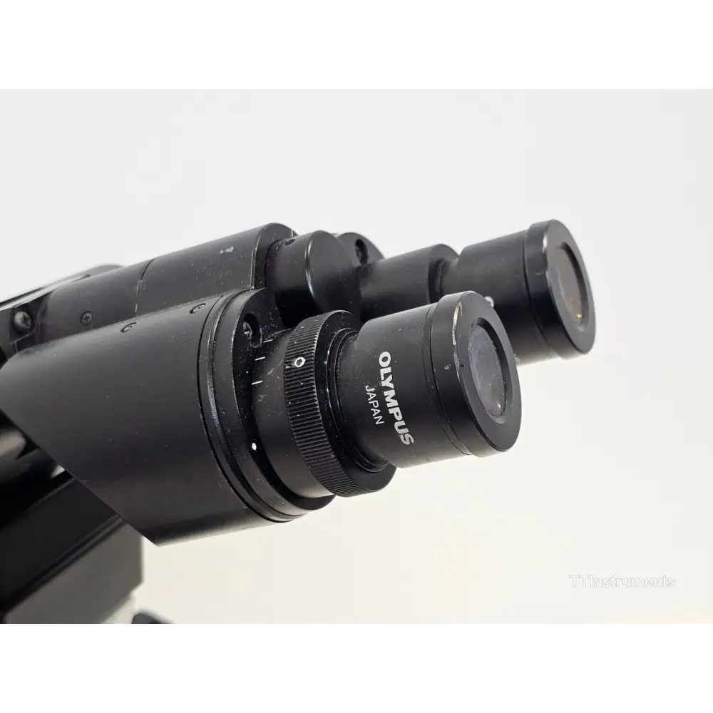 Olympus BX40 microscope rear view showing halogen lamp socket and power connector