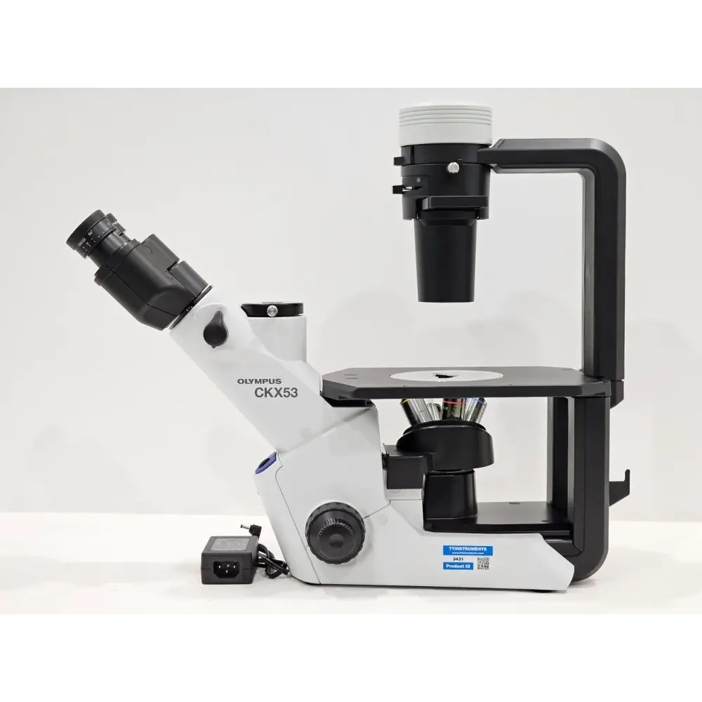 Olympus CKX53 inverted tissue culture microscope front view with trinocular head and LED base