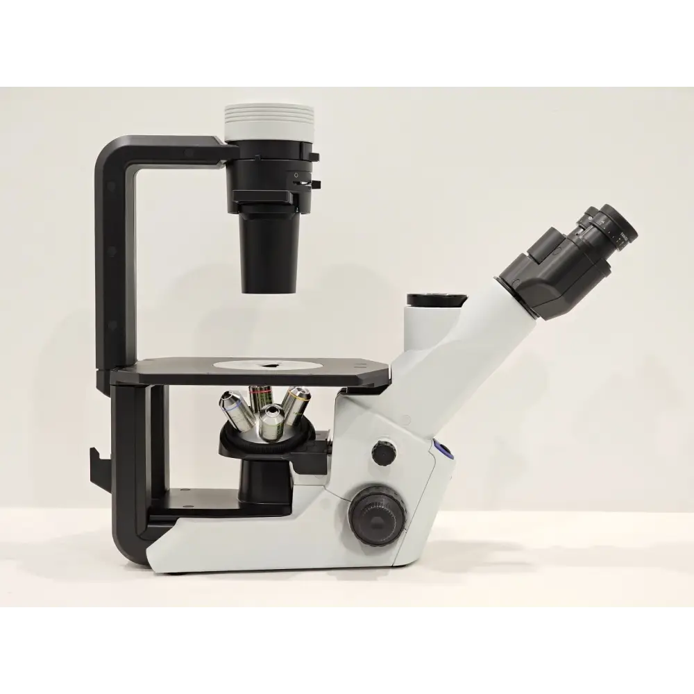 Olympus CKX53 inverted microscope right side view showing focus knobs and stage area
