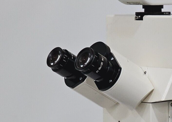 ZEISS P1 10x/25 Eyepieces 44 40 34