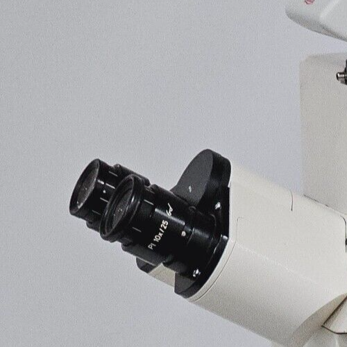 ZEISS P1 10x/25 Eyepieces 44 40 34