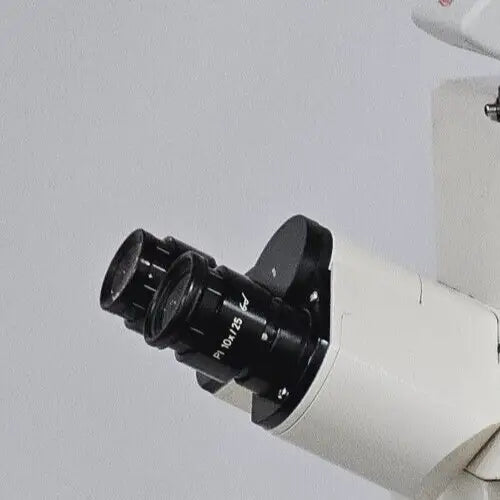 ZEISS P1 10x/25 Eyepieces 44 40 34
