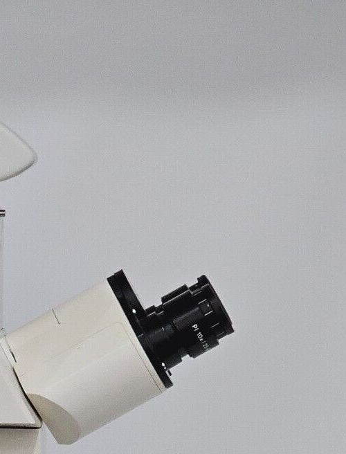 ZEISS P1 10x/25 Eyepieces 44 40 34