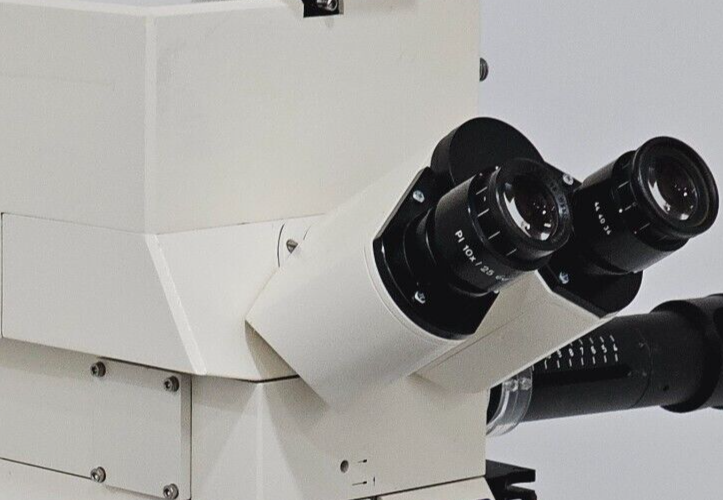 ZEISS P1 10x/25 Eyepieces 44 40 34