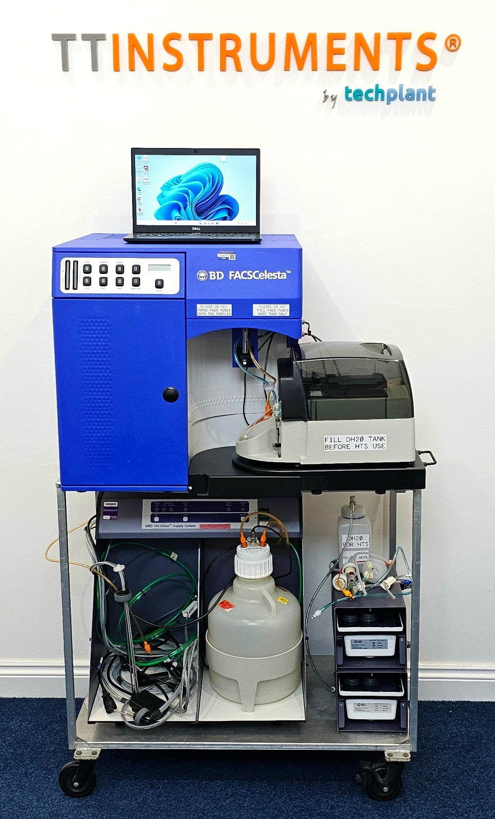 BD FACSCelesta Multicolor Flow Cytometer 3 Lasers BVR w/ BD HTS + Supply System