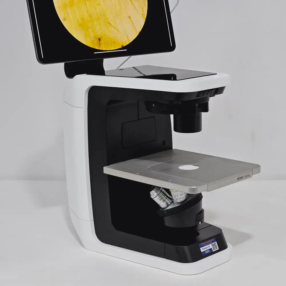 ECHO Rebel REB-01-D angled side view showing inverted nosepiece with 10x and 20x phase objectives, stage, and iPad display with sample image