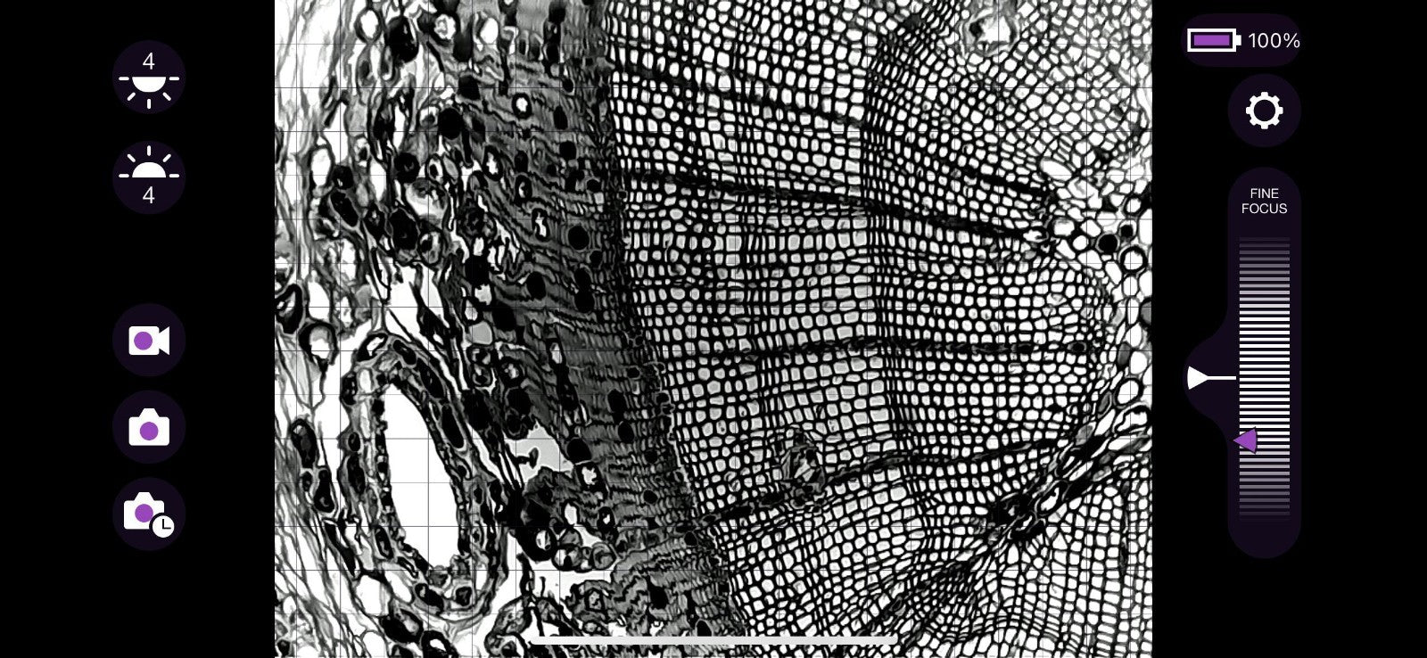 iolight Compact Cell Imager 1mm FoV Inverted Microscope 10x Objective