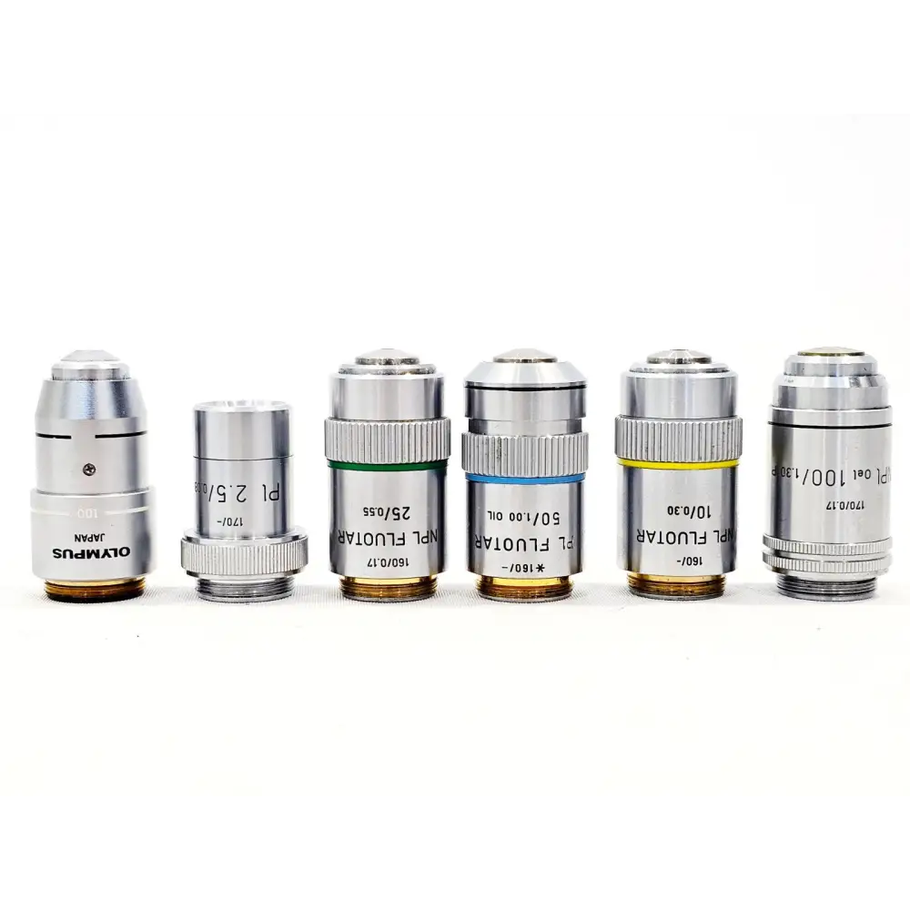 Leitz Orthoplan Compound Microscope with 6x Objectives & Illuminator