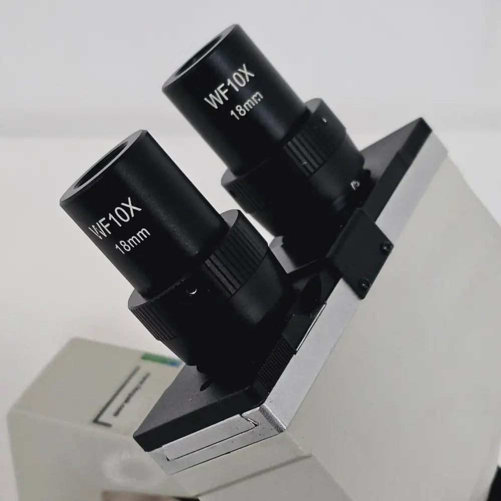 Front view of compound biological microscope showing eyepiece tube and focus adjustment knobs
